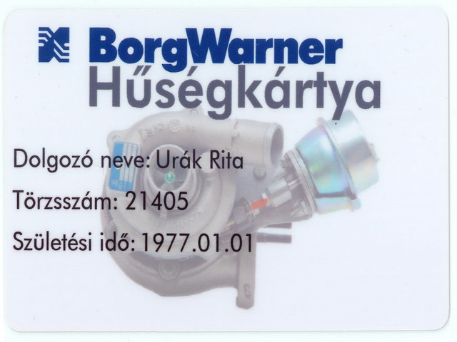 Borg Warner Hűség plasztik kártya